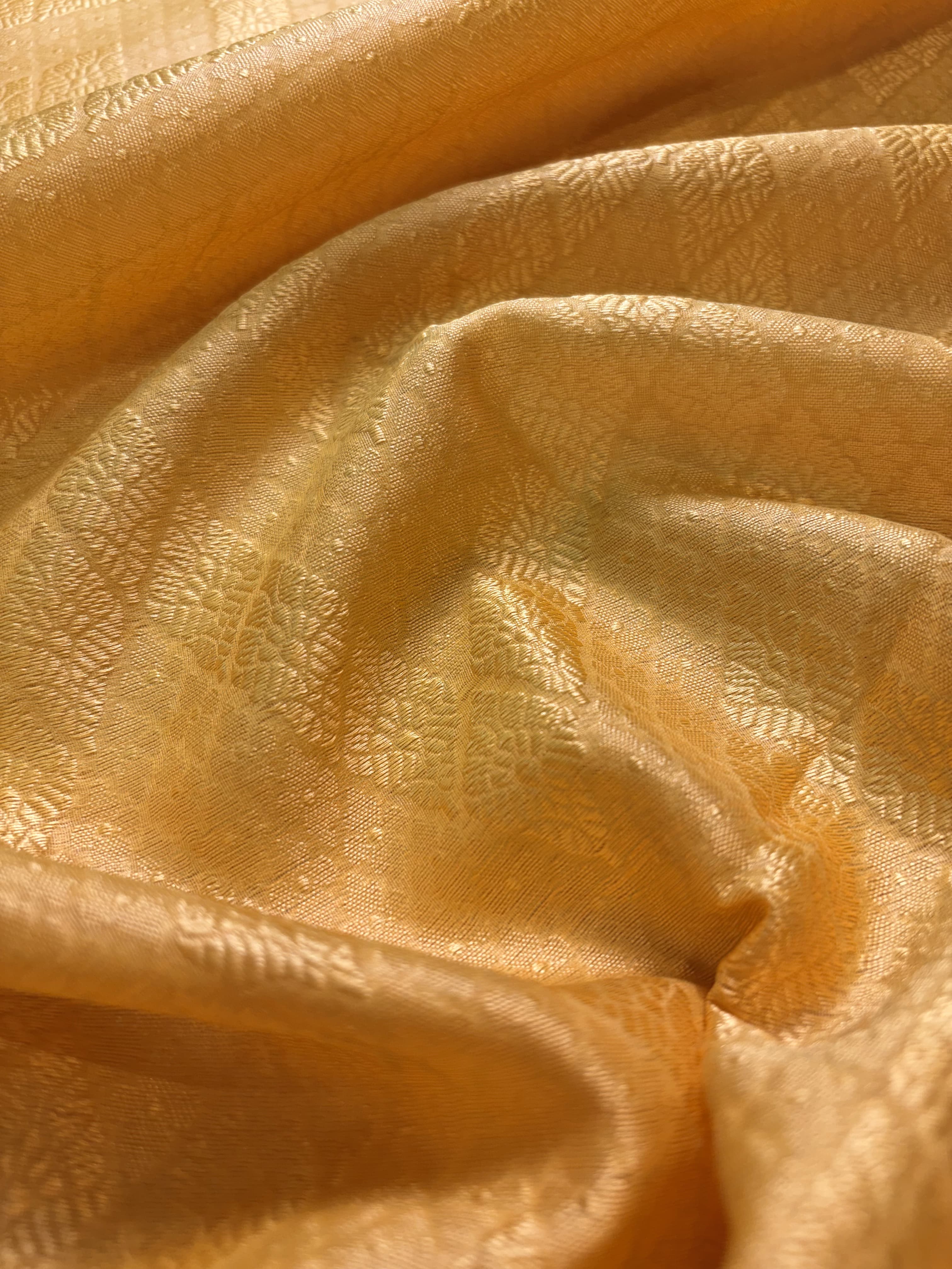 Contrast Banarasi Fancy Katan Tanchui Meena Saree.