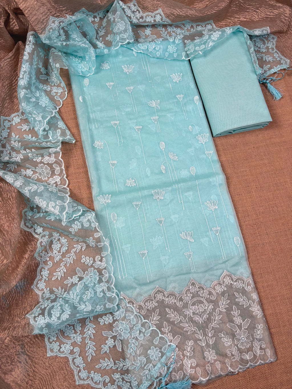 Sky Blue Banarasi Organza Tissue Silk Suit