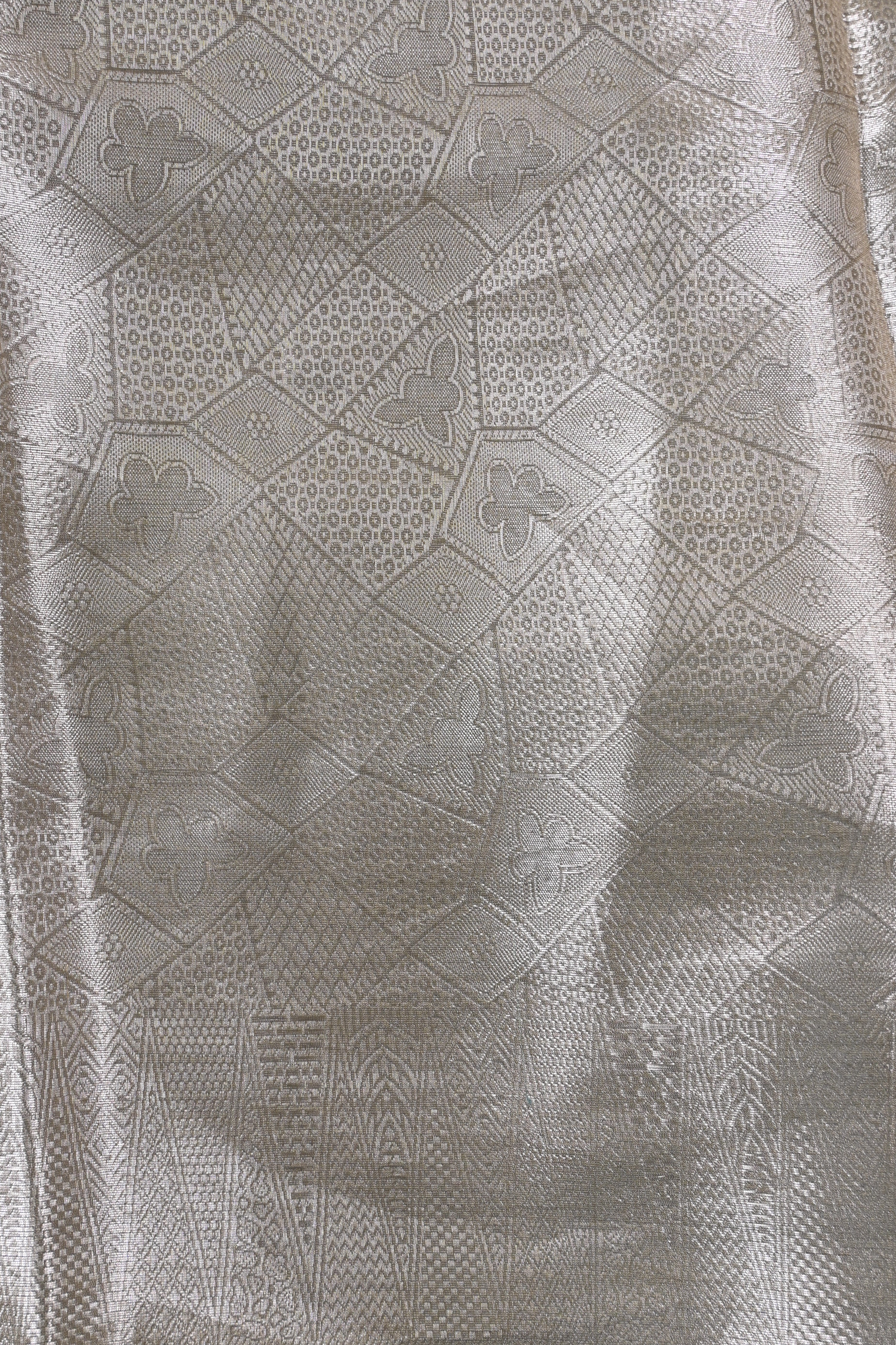 Baby Beige Pure Banarasi Molten Tissue Silk Saree