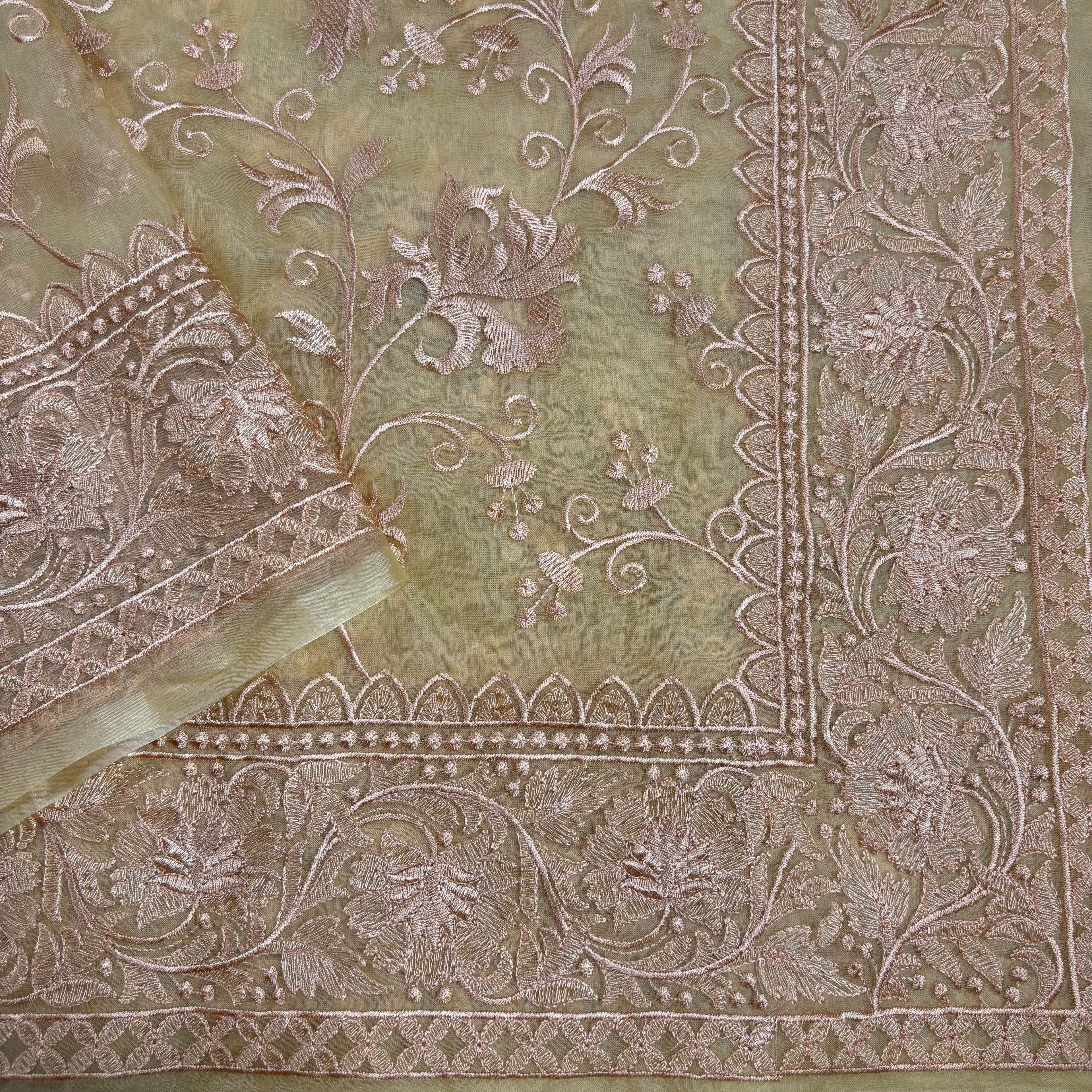 Beige Banarasi Organza Silk Saree