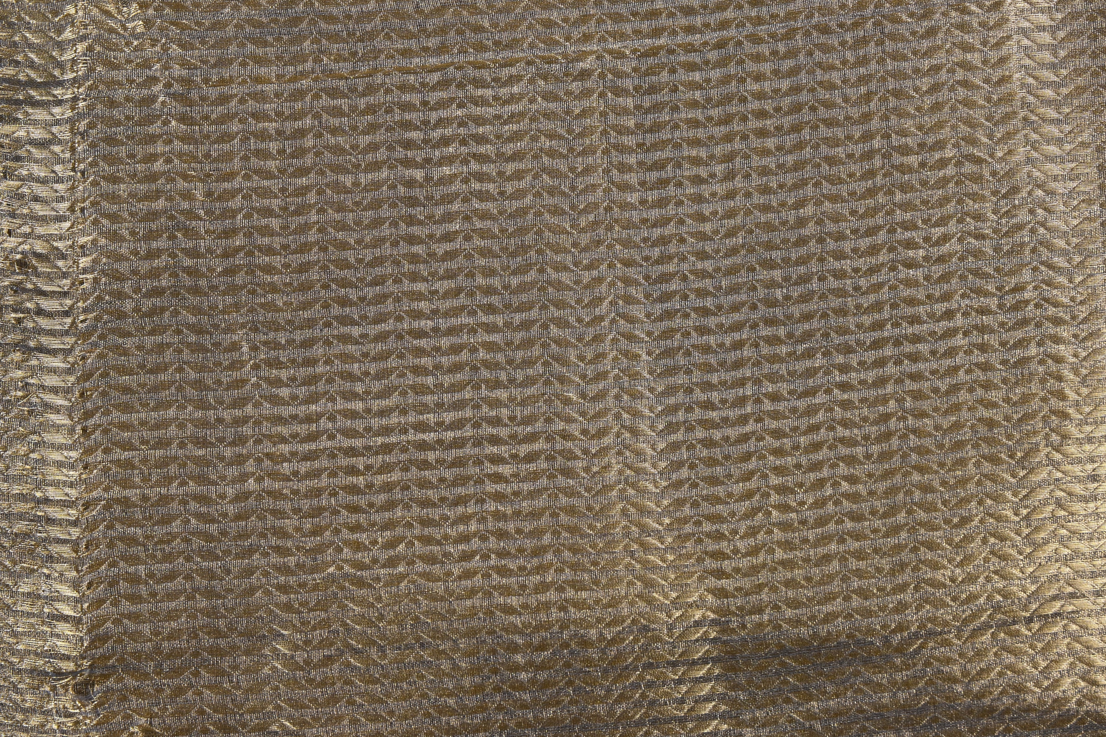 Molten Gold Pure Banarasi Molten Tissue Silk Saree