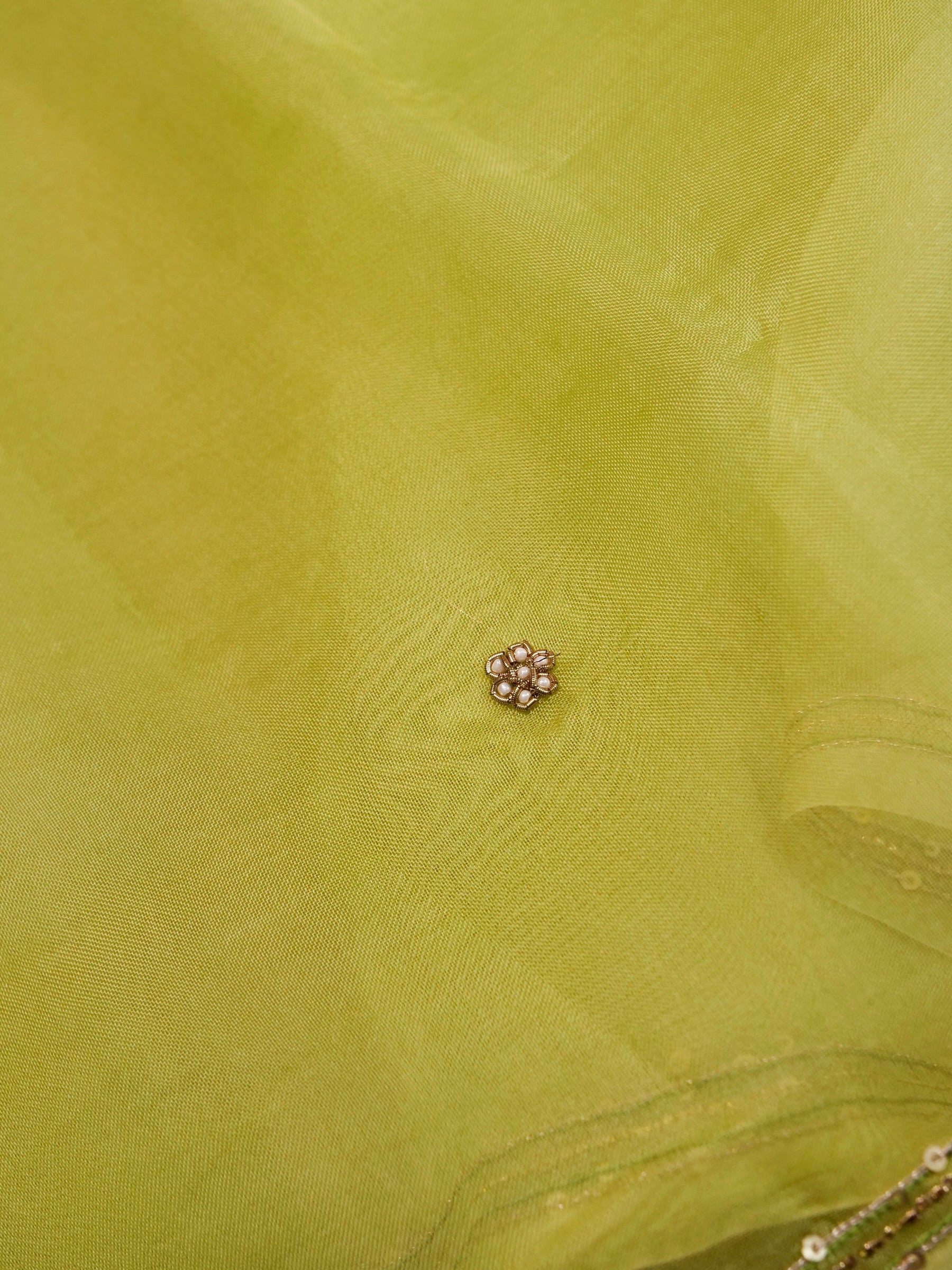 Handwoven Lime Green Banarasi Organza Silk Saree