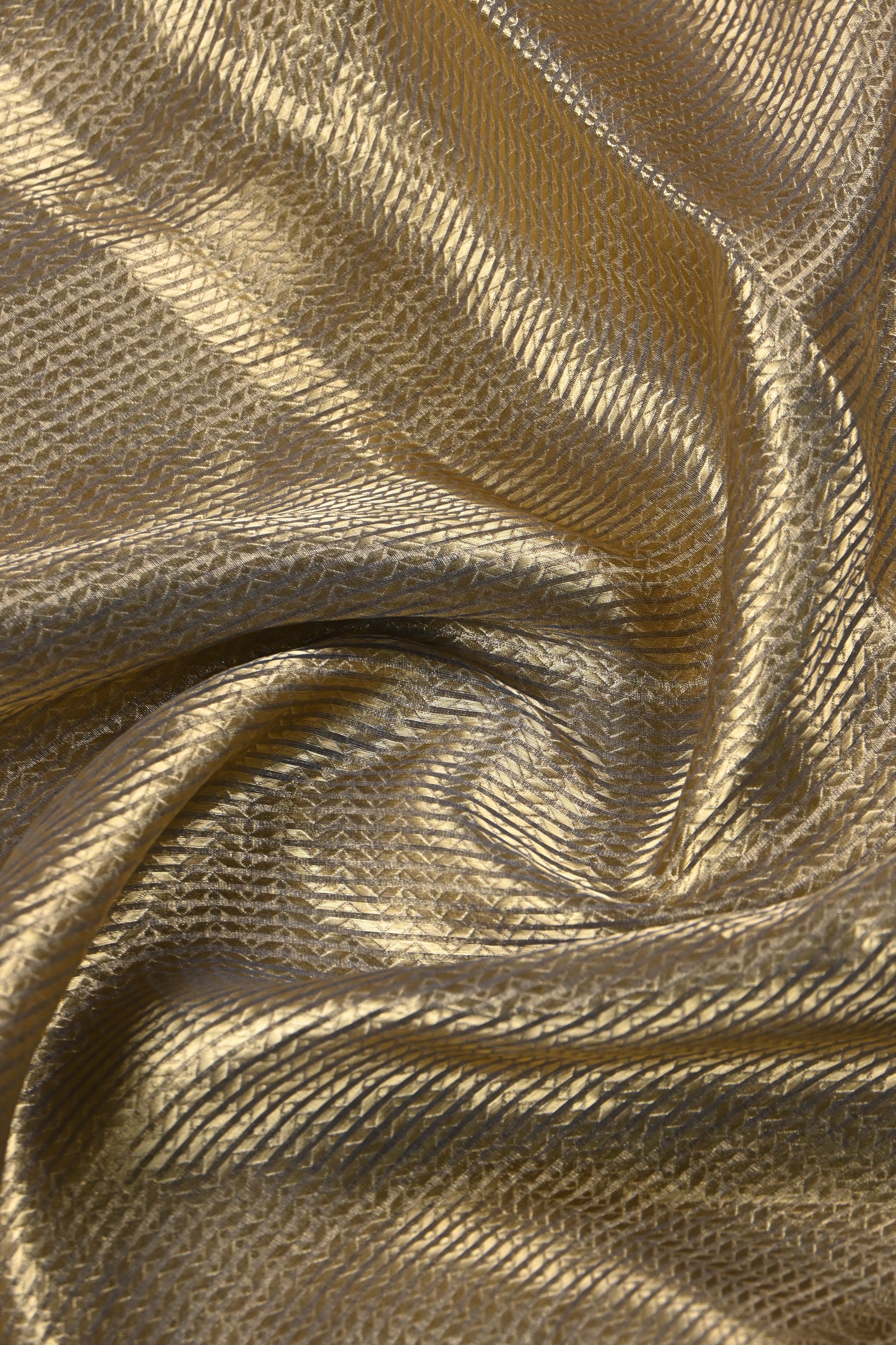 Molten Gold Pure Banarasi Molten Tissue Silk Saree