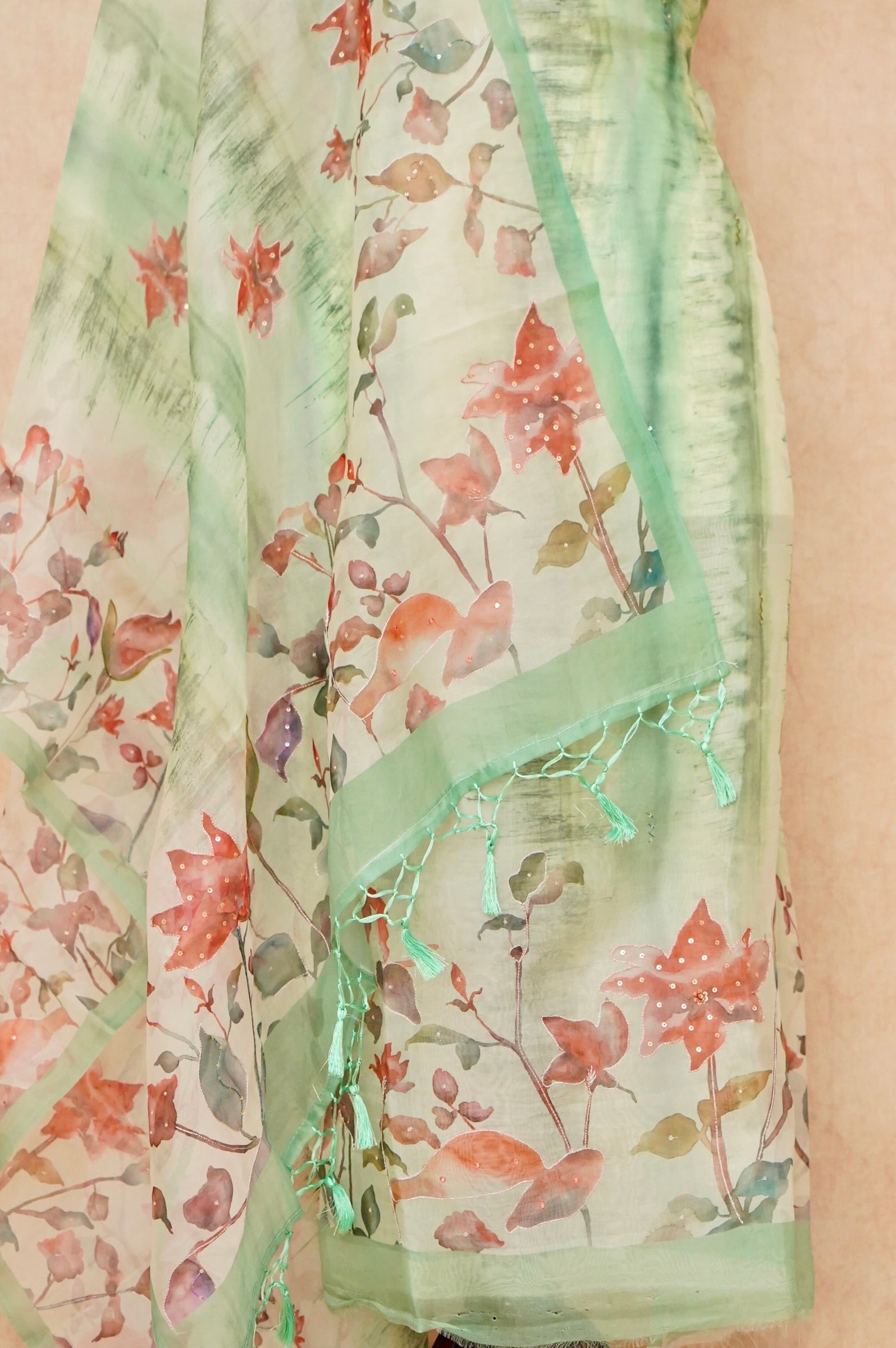 Handwoven Pastel Green Banarasi Organza Silk Suit