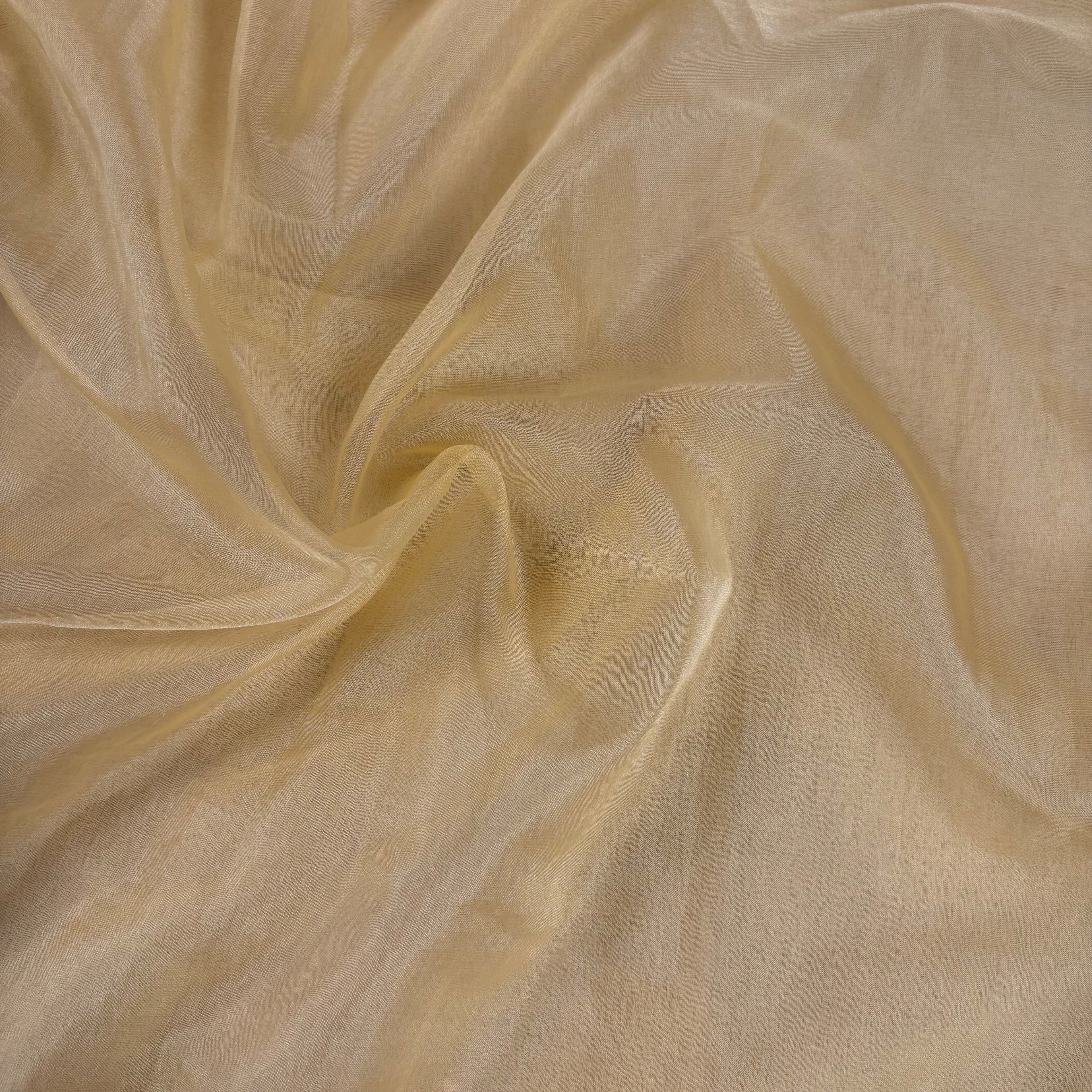 Beige Banarasi Organza Silk Saree